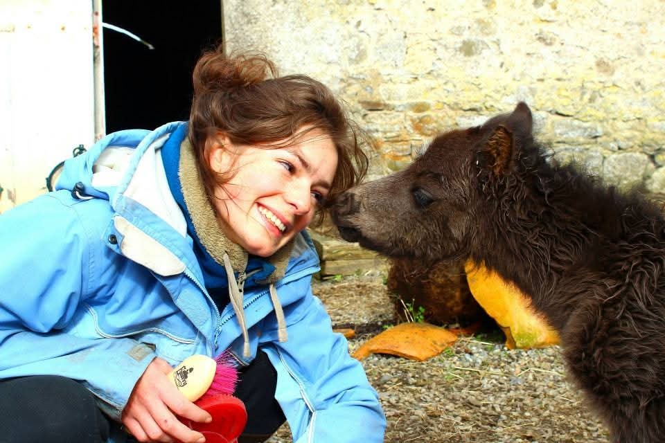 Apolline et les poneys