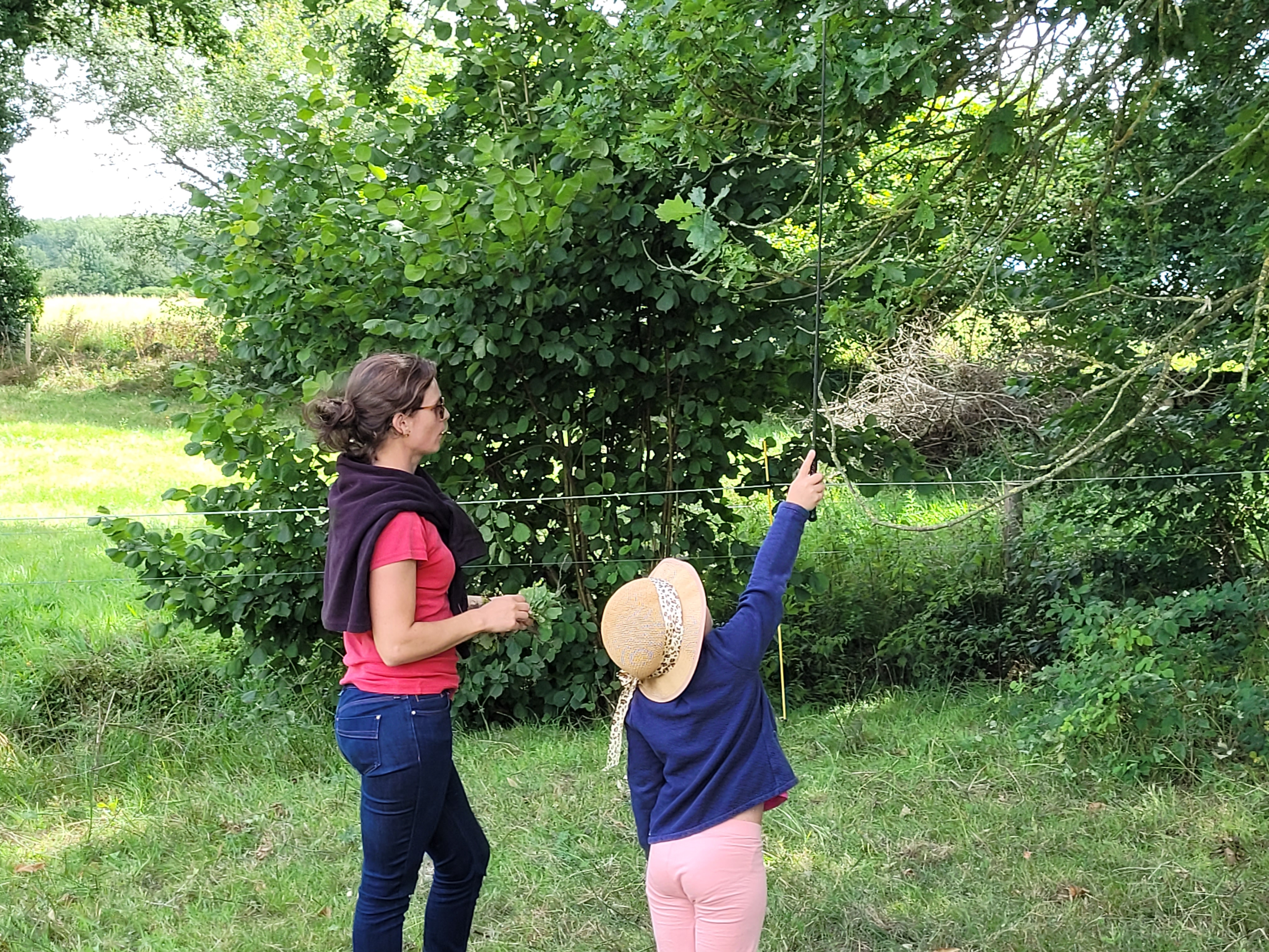 Ateliers et séjours